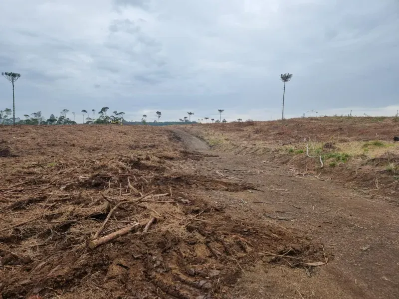 Fazenda em Rio Negrinho/Santa Catarina — Ref 89G20W — Imagem 7