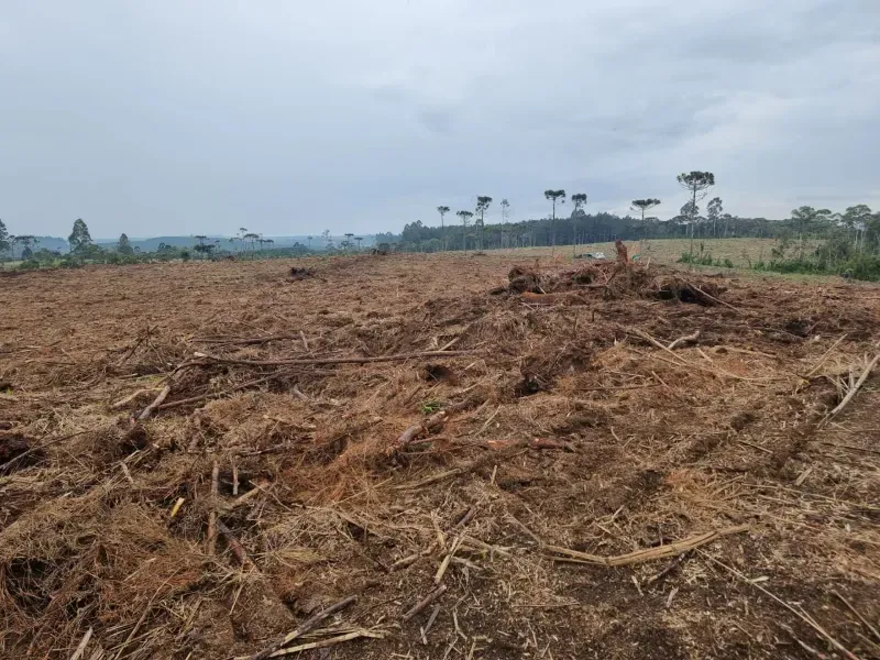 Fazenda em Rio Negrinho/Santa Catarina — Ref 89G20W — Imagem 5