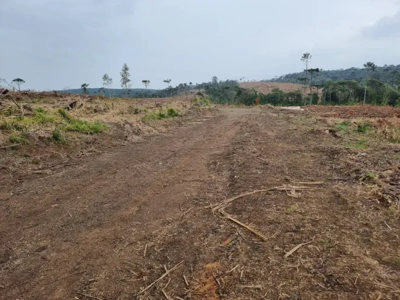 Fazenda em Rio Negrinho/Santa Catarina — Ref 89G20W — Imagem 6