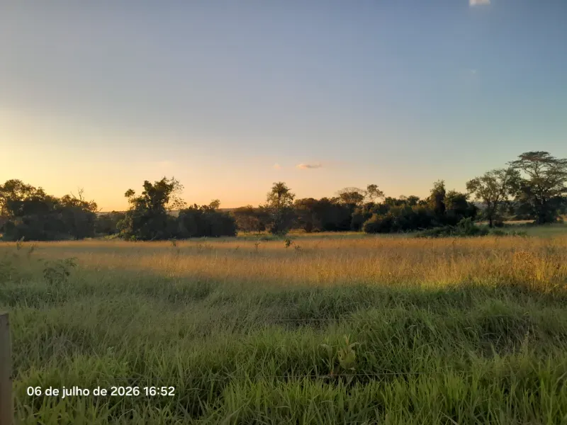 Fazenda em Rochedo/Mato Grosso do Sul — Ref 8LMQVD — Imagem 9