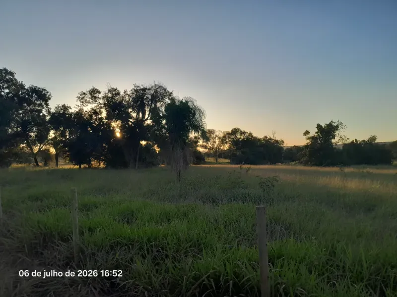 Fazenda em Rochedo/Mato Grosso do Sul — Ref 8LMQVD — Imagem 10