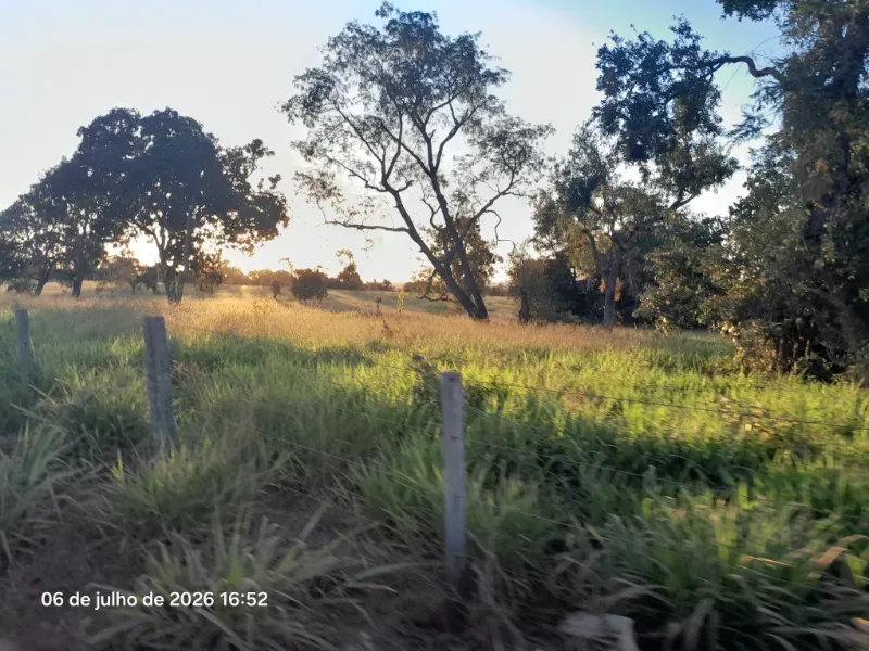 Fazenda em Rochedo/Mato Grosso do Sul — Ref 8LMQVD — Imagem 12