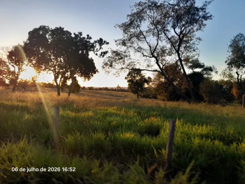 Fazenda em Rochedo/Mato Grosso do Sul — Ref 8LMQVD — Imagem 13