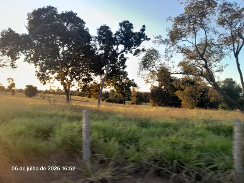 Fazenda em Rochedo/Mato Grosso do Sul — Ref 8LMQVD — Imagem 14