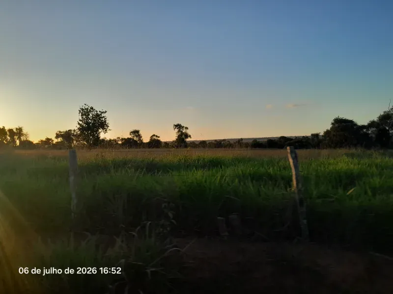 Fazenda em Rochedo/Mato Grosso do Sul — Ref 8LMQVD — Imagem 15