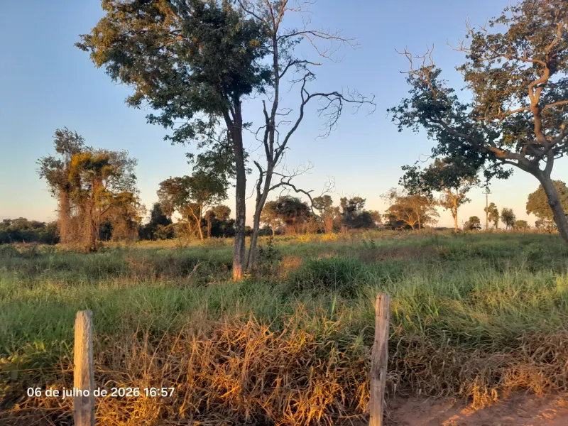 Fazenda em Rochedo/Mato Grosso do Sul — Ref 8LMQVD — Imagem 16