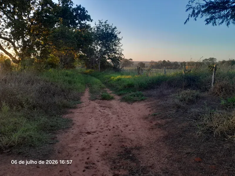 Fazenda em Rochedo/Mato Grosso do Sul — Ref 8LMQVD — Imagem 18