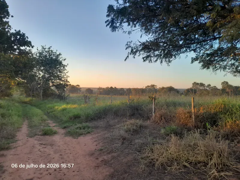Fazenda em Rochedo/Mato Grosso do Sul — Ref 8LMQVD — Imagem 19