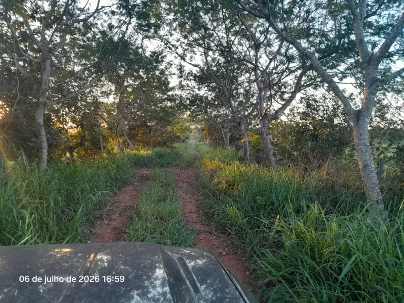Fazenda em Rochedo/Mato Grosso do Sul — Ref 8LMQVD — Imagem 20