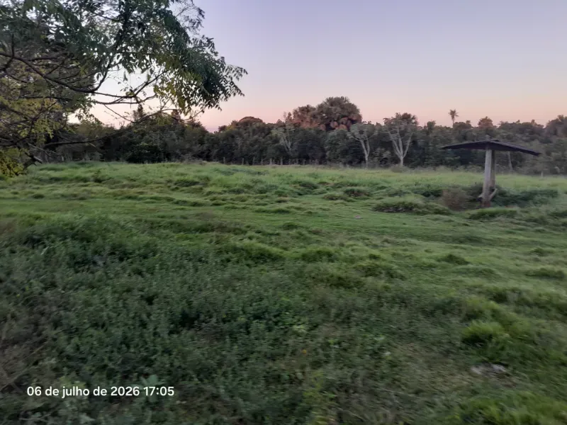 Fazenda em Rochedo/Mato Grosso do Sul — Ref 8LMQVD — Imagem 28