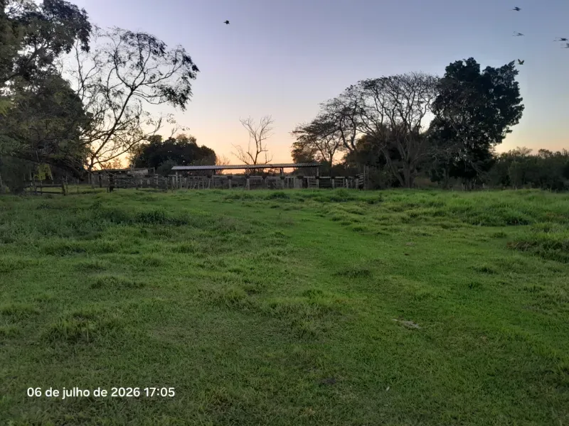 Fazenda em Rochedo/Mato Grosso do Sul — Ref 8LMQVD — Imagem 29