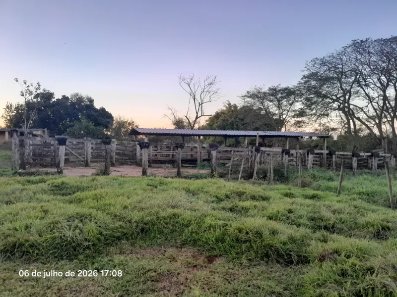 Fazenda em Rochedo/Mato Grosso do Sul — Ref 8LMQVD — Imagem 41