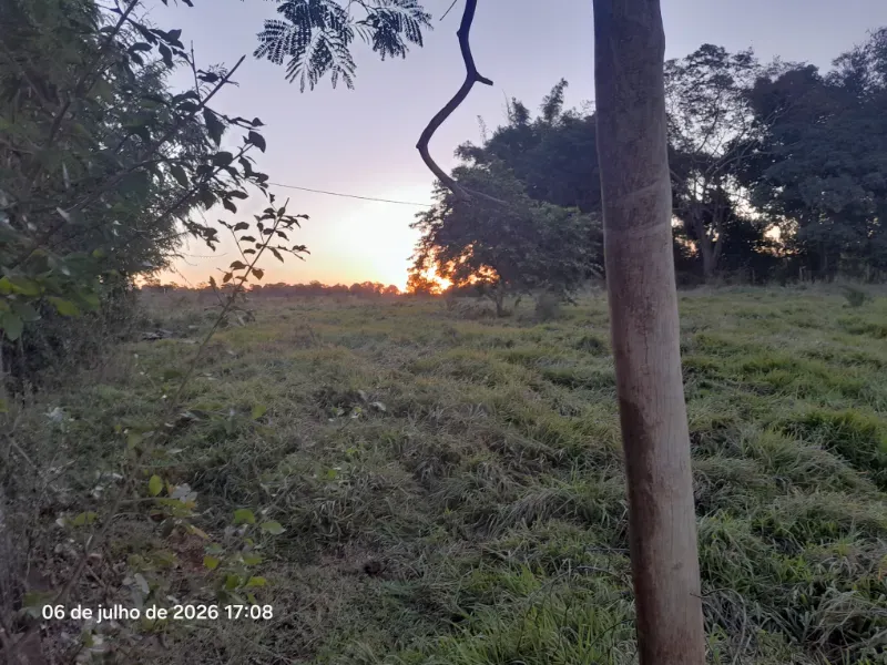 Fazenda em Rochedo/Mato Grosso do Sul — Ref 8LMQVD — Imagem 54