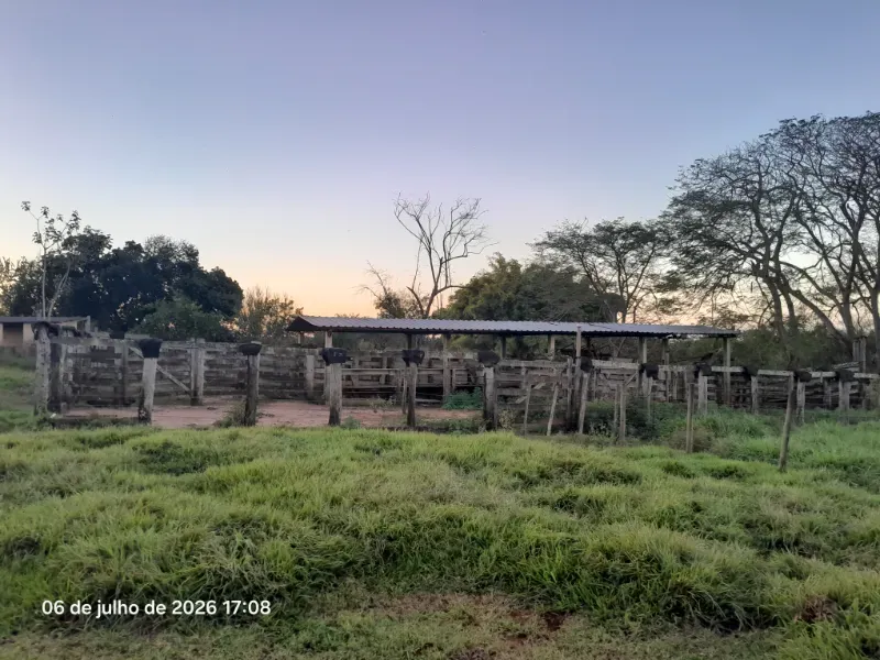 Fazenda em Rochedo/Mato Grosso do Sul — Ref 8LMQVD — Imagem 56