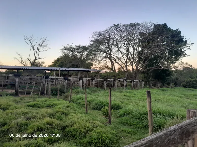 Fazenda em Rochedo/Mato Grosso do Sul — Ref 8LMQVD — Imagem 57