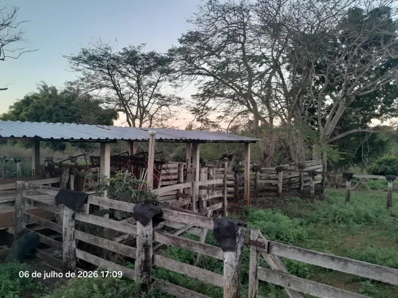 Fazenda em Rochedo/Mato Grosso do Sul — Ref 8LMQVD — Imagem 58