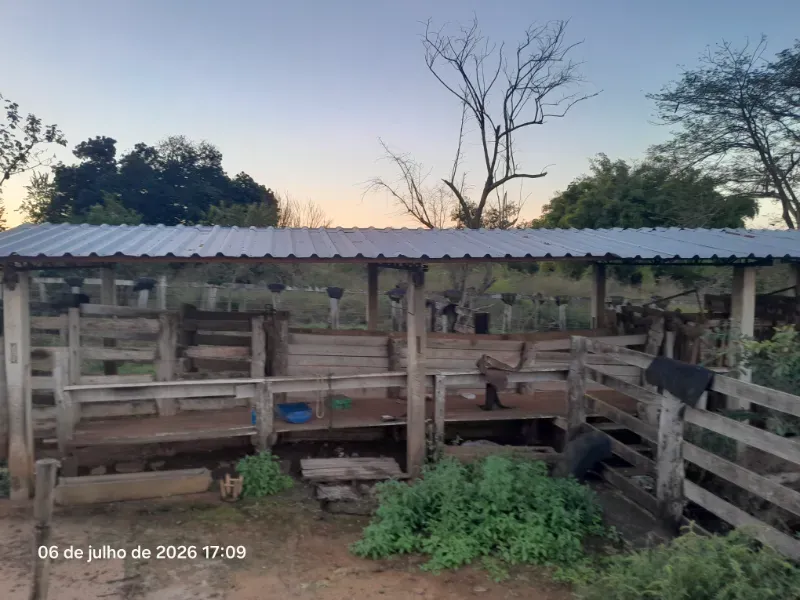 Fazenda em Rochedo/Mato Grosso do Sul — Ref 8LMQVD — Imagem 59