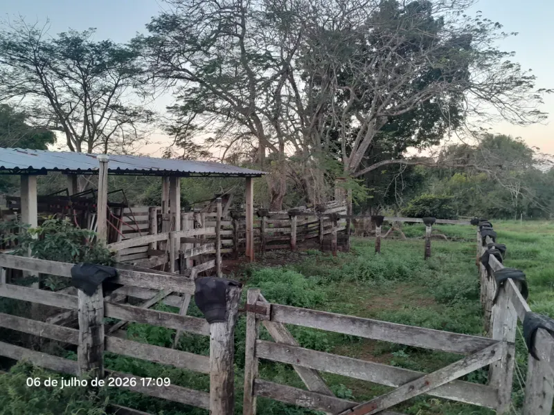 Fazenda em Rochedo/Mato Grosso do Sul — Ref 8LMQVD — Imagem 60
