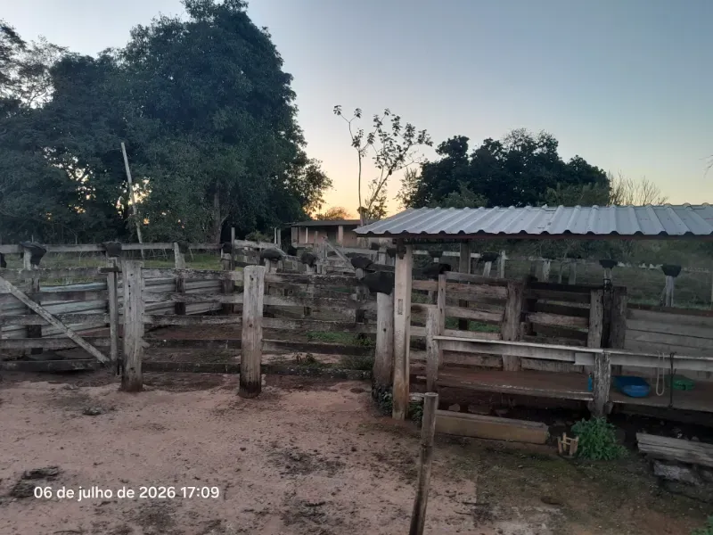 Fazenda em Rochedo/Mato Grosso do Sul — Ref 8LMQVD — Imagem 61
