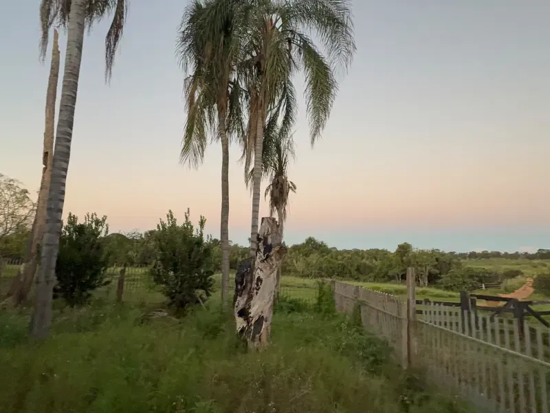 Fazenda em Rochedo/Mato Grosso do Sul — Ref 8LMQVD — Imagem 39