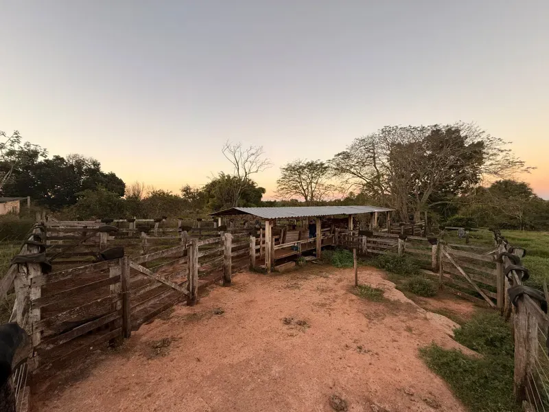 Fazenda em Rochedo/Mato Grosso do Sul — Ref 8LMQVD — Imagem 62