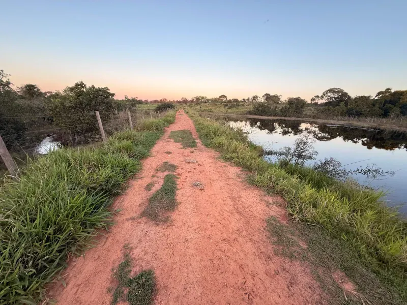 Fazenda em Rochedo/Mato Grosso do Sul — Ref 8LMQVD — Imagem 25