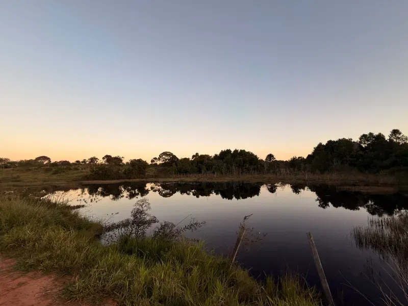 Fazenda em Rochedo/Mato Grosso do Sul — Ref 8LMQVD — Imagem 21