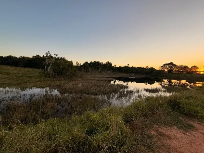 Fazenda em Rochedo/Mato Grosso do Sul — Ref 8LMQVD — Imagem 22