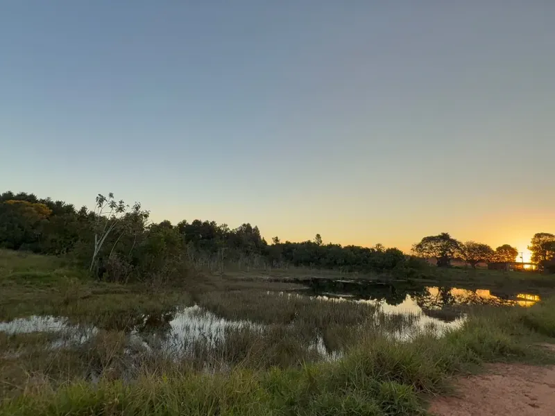 Fazenda em Rochedo/Mato Grosso do Sul — Ref 8LMQVD — Imagem 23
