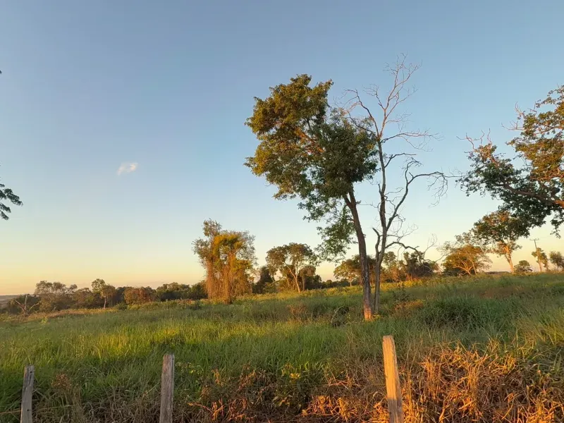 Fazenda em Rochedo/Mato Grosso do Sul — Ref 8LMQVD — Imagem 6
