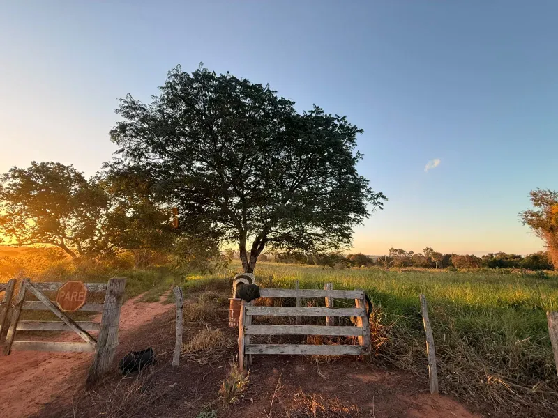 Fazenda em Rochedo/Mato Grosso do Sul — Ref 8LMQVD — Imagem 3