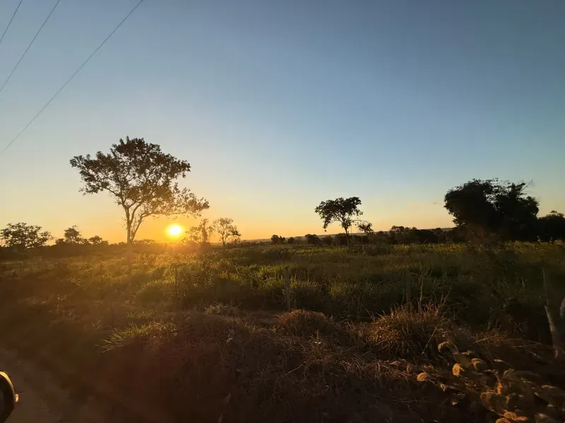 Fazenda em Rochedo/Mato Grosso do Sul — Ref 8LMQVD — Imagem 7