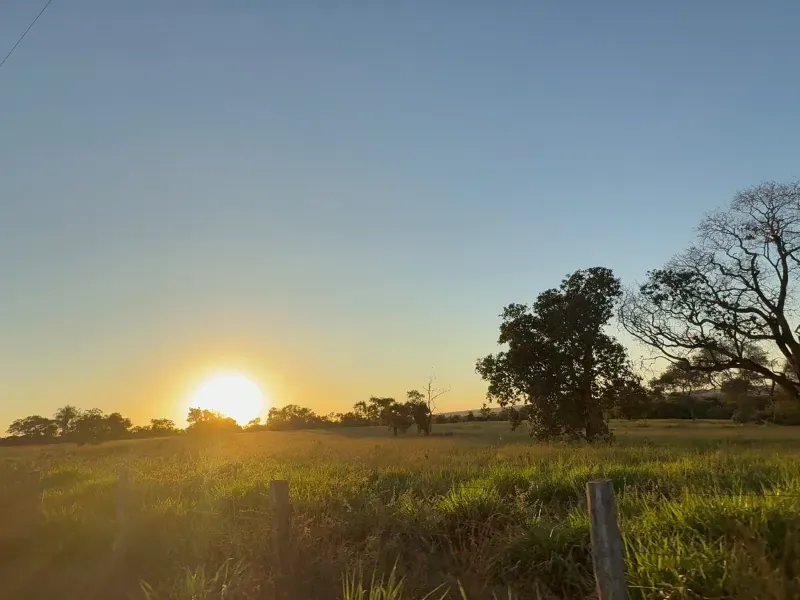 Fazenda em Rochedo/Mato Grosso do Sul — Ref 8LMQVD — Imagem 4
