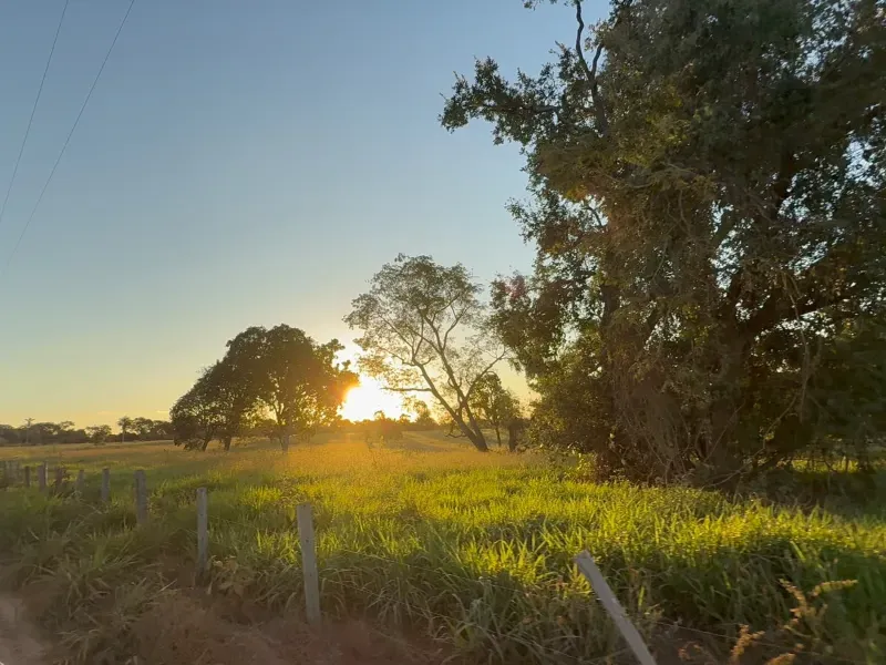 Fazenda em Rochedo/Mato Grosso do Sul — Ref 8LMQVD — Imagem 5