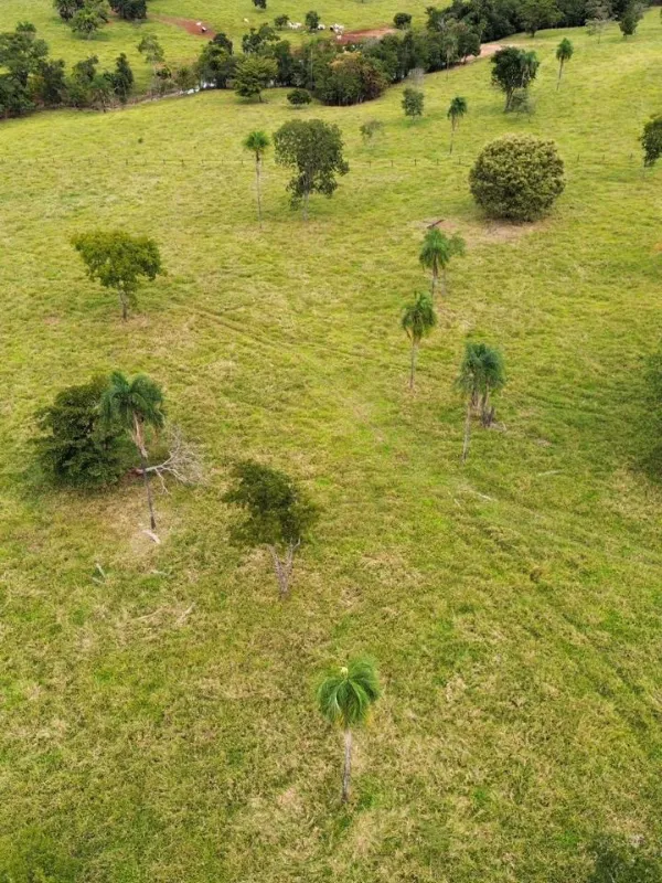 Fazenda em Sanclerlândia/Goiás — Ref I7R2CX — Imagem 3