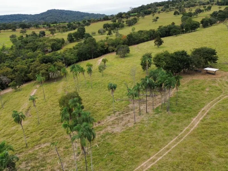 Fazenda em Sanclerlândia/Goiás — Ref I7R2CX — Imagem 4