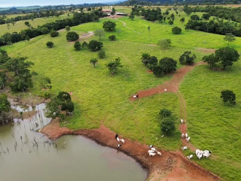 Fazenda em Sanclerlândia/Goiás — Ref I7R2CX — Imagem 5
