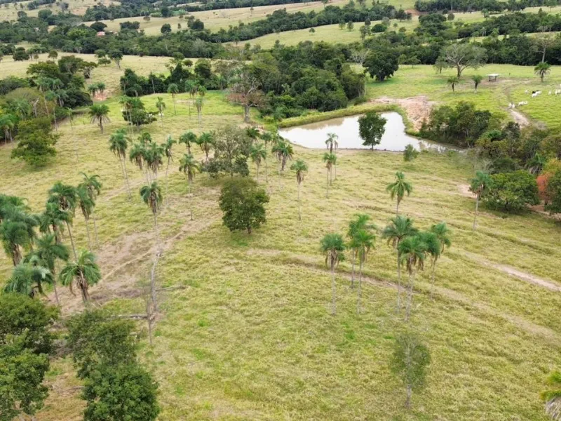 Fazenda em Sanclerlândia/Goiás — Ref I7R2CX — Imagem 6