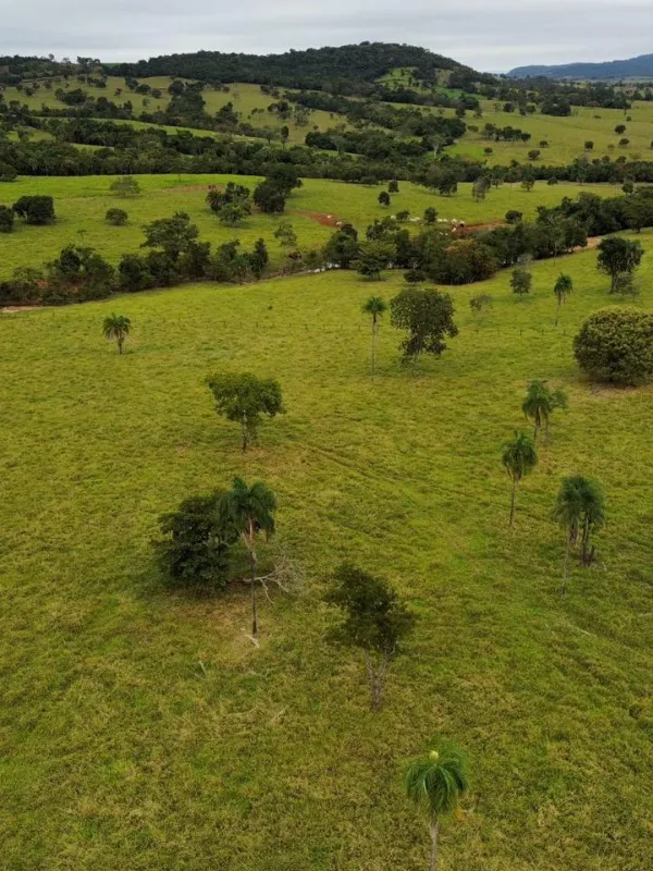 Fazenda em Sanclerlândia/Goiás — Ref I7R2CX — Imagem 7