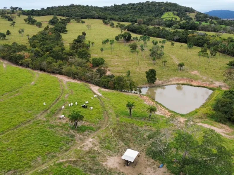 Fazenda em Sanclerlândia/Goiás — Ref I7R2CX — Imagem 8