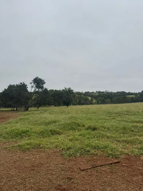 Fazenda em Sanclerlândia/Goiás — Ref I7R2CX — Imagem 9