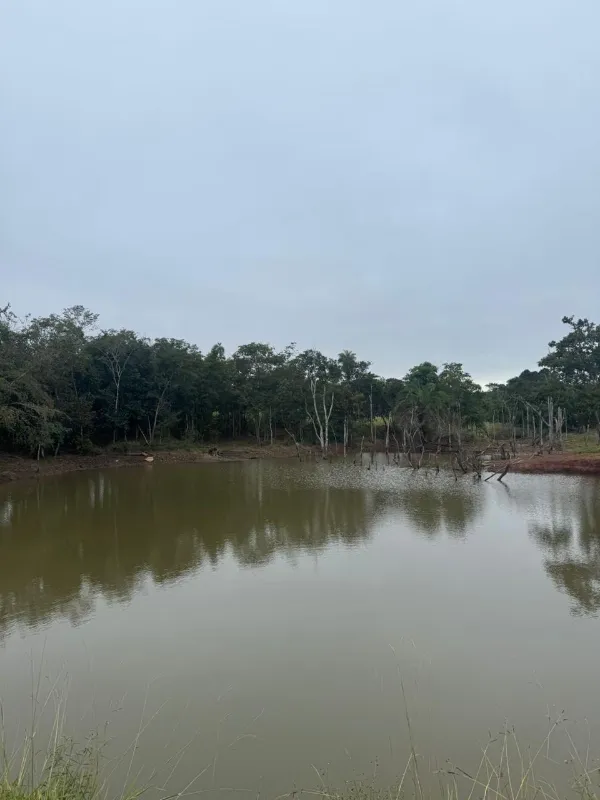 Fazenda em Sanclerlândia/Goiás — Ref I7R2CX — Imagem 11