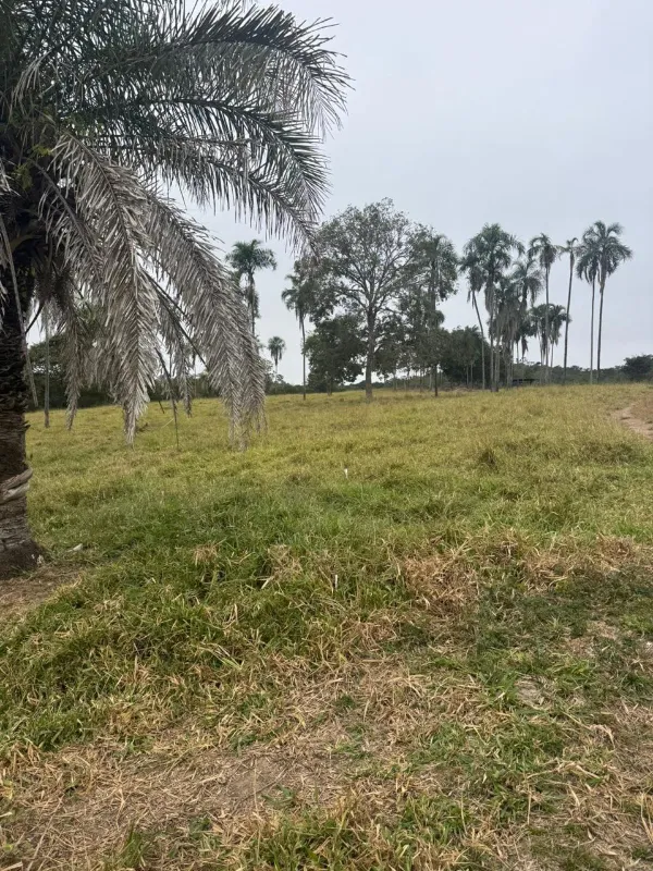 Fazenda em Sanclerlândia/Goiás — Ref I7R2CX — Imagem 12