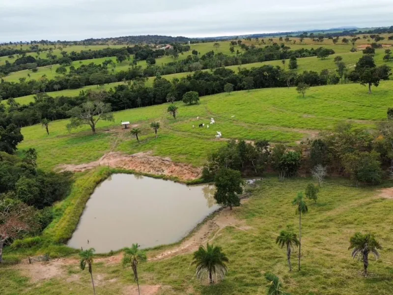 Fazenda em Sanclerlândia/Goiás — Ref I7R2CX — Imagem 13
