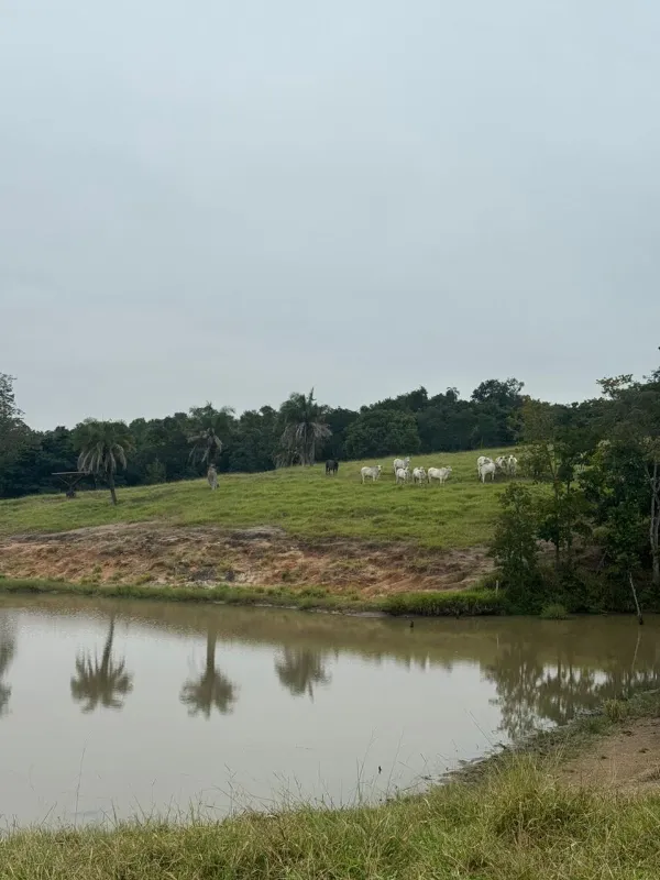 Fazenda em Sanclerlândia/Goiás — Ref I7R2CX — Imagem 14