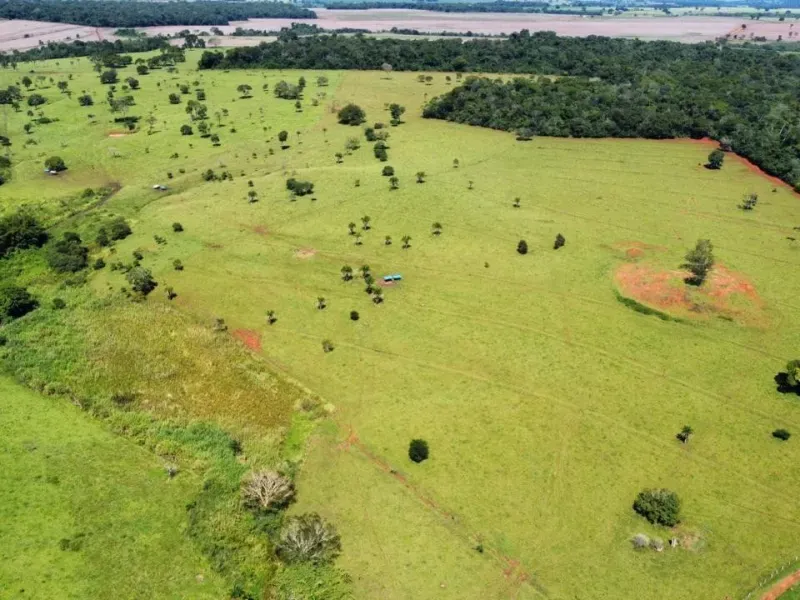 Fazenda em Santa Bárbara de Goiás/Goiás — Ref OFT12Z — Imagem 4
