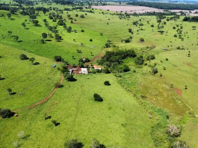 Fazenda em Santa Bárbara de Goiás/Goiás — Ref OFT12Z — Imagem 6