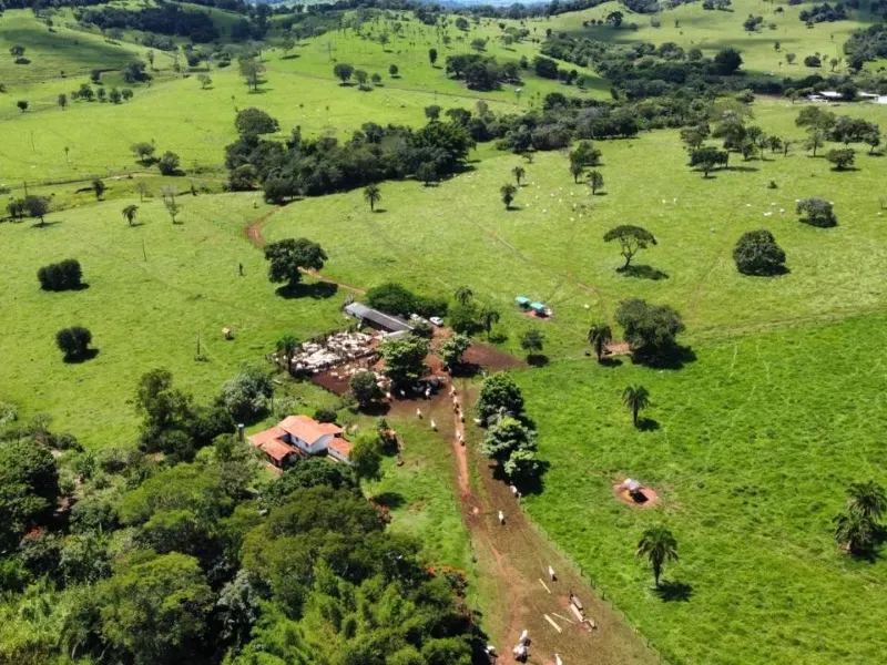 Fazenda em Santa Bárbara de Goiás/Goiás — Ref OFT12Z — Imagem 7