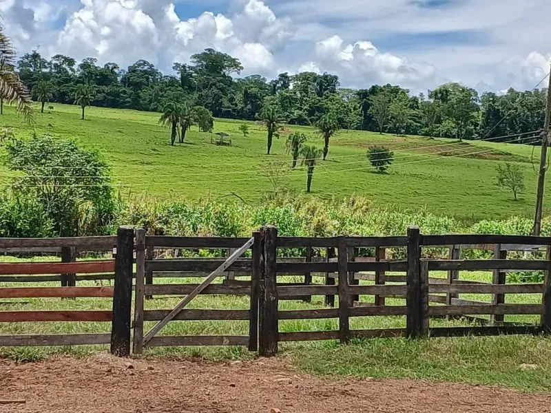 Fazenda em Santa Bárbara de Goiás/Goiás — Ref OFT12Z — Imagem 8