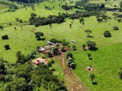 Fazenda em Santa Bárbara de Goiás/Goiás — Ref OFT12Z — Imagem 9